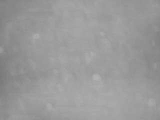 voyeurcam-casa-salsa-pool-1