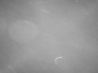 voyeurcam-casa-salsa-pool-1 camsoda