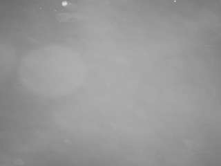 voyeurcam-casa-salsa-pool-1 camsoda