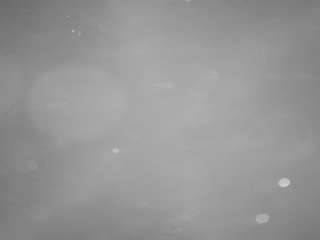 voyeurcam-casa-salsa-pool-1 camsoda