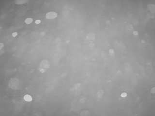 voyeurcam-casa-salsa-pool-1 camsoda