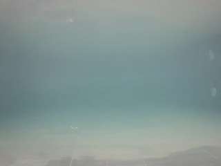 voyeurcam-casa-salsa-pool-1