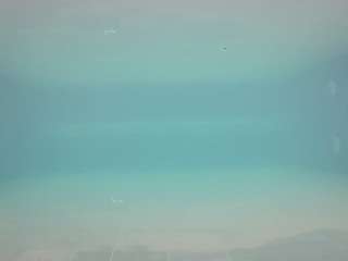 voyeurcam-casa-salsa-pool-1