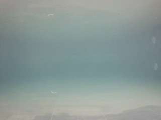 voyeurcam-casa-salsa-pool-1