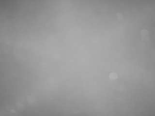 voyeurcam-casa-salsa-pool-1