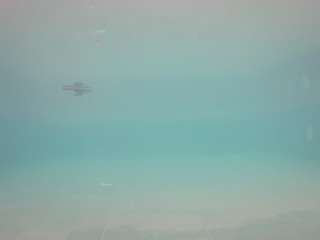 voyeurcam-casa-salsa-pool-1 Profile Image