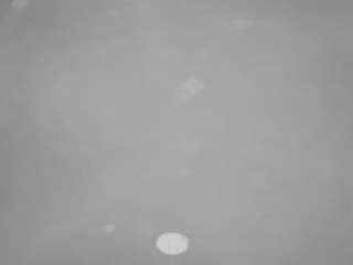 voyeurcam-casa-salsa-pool-1 webcam model