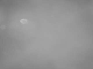 voyeurcam casa salsa pool 1