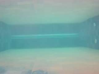 voyeurcam-casa-salsa-pool-1 Profile Image