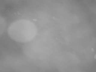  voyeurcam-casa-salsa-pool-1 chat room