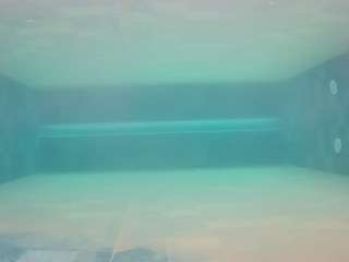 voyeurcam-casa-salsa-pool-1