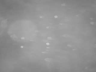 voyeurcam-casa-salsa-pool-1