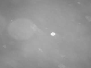 voyeurcam-casa-salsa-pool-1