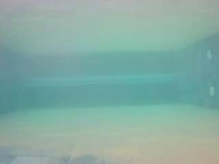 voyeurcam-casa-salsa-pool-1