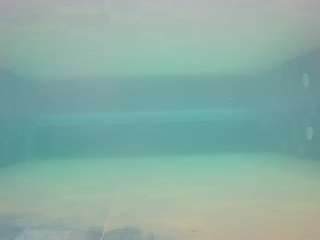 voyeurcam-casa-salsa-pool-1