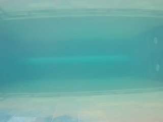 voyeurcam-casa-salsa-pool-1