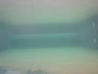 voyeurcam-casa-salsa-pool-1 Live Webcam on CamSoda