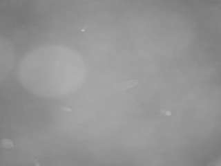 voyeurcam-casa-salsa-pool-1