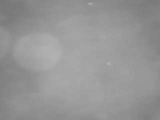 voyeurcam casa salsa pool 1