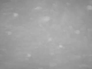 voyeurcam-casa-salsa-pool-1