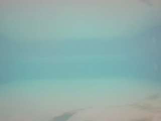 voyeurcam-casa-salsa-pool-1