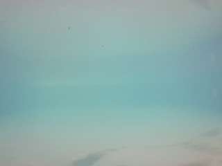 voyeurcam-casa-salsa-pool-1