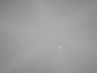 voyeurcam-casa-salsa-pool-1 webcam model