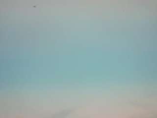 voyeurcam-casa-salsa-pool-1