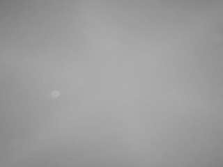 voyeurcam-casa-salsa-pool-1