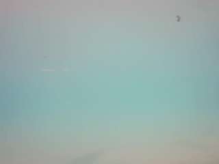 voyeurcam-casa-salsa-pool-1