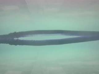 voyeurcam casa salsa pool 1 live webcam on Soda Cams