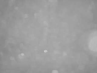 voyeurcam-casa-salsa-pool-1