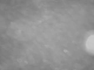 voyeurcam-casa-salsa-pool-1