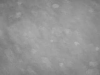 voyeurcam casa salsa pool 1