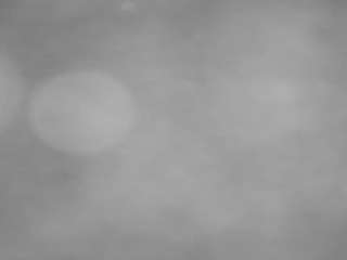 voyeurcam-casa-salsa-pool-1