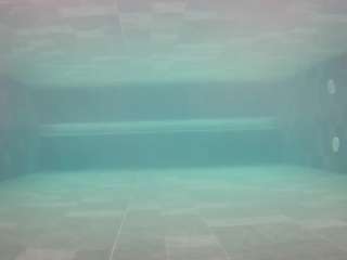voyeurcam-casa-salsa-pool-1