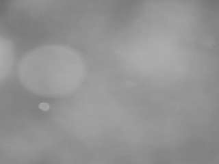 voyeurcam-casa-salsa-pool-1