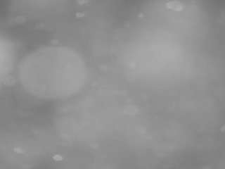 voyeurcam-casa-salsa-pool-1