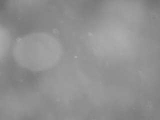 voyeurcam-casa-salsa-pool-1