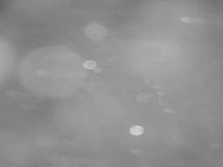 voyeurcam-casa-salsa-pool-1