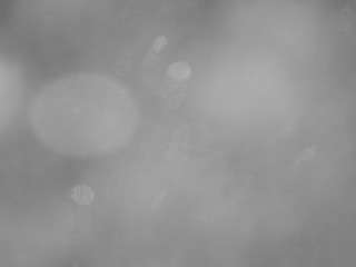 voyeurcam-casa-salsa-pool-1 - Live HD Webcam