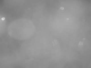 voyeurcam-casa-salsa-pool-1