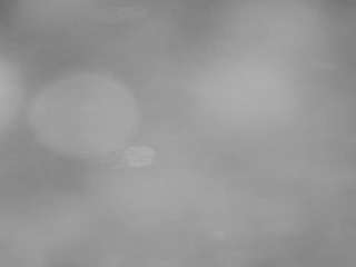 voyeurcam-casa-salsa-pool-1 webcam model