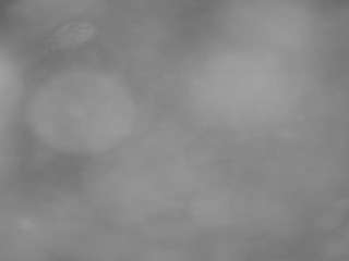 voyeurcam-casa-salsa-pool-1