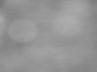 voyeurcam-casa-salsa-pool-1