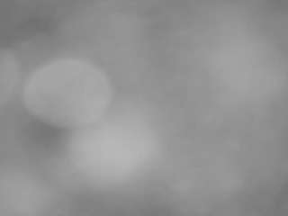 voyeurcam-casa-salsa-pool-1