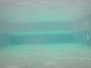 voyeurcam-casa-salsa-pool-1