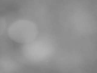 voyeurcam-casa-salsa-pool-1