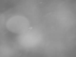 voyeurcam-casa-salsa-pool-1