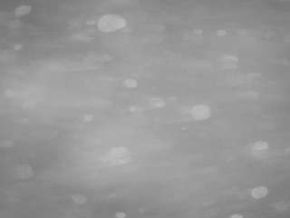 voyeurcam-casa-salsa-pool-1